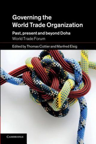 Könyv Governing the World Trade Organization Thomas Cottier