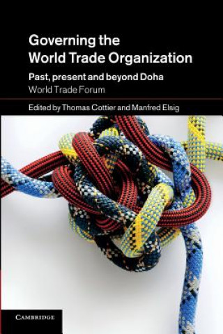 Book Governing the World Trade Organization Thomas Cottier