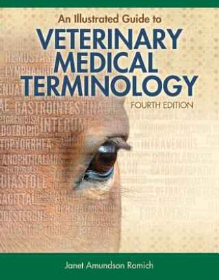 Kniha Illustrated Guide to Veterinary Medical Terminology Janet Amundsen Romich