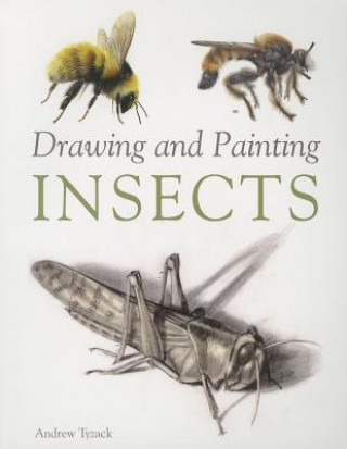Könyv Drawing and Painting Insects Andrew Tyzack