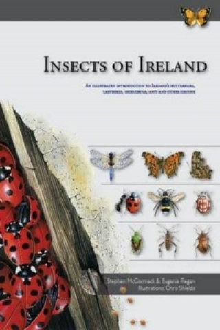 Kniha Insects of Ireland S McCormack