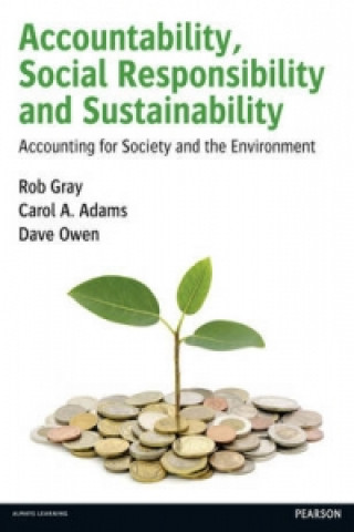 Książka Accountability, Social Responsibility and Sustainability: Accounting for Society and the Environment Dave Owen