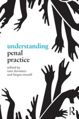 Kniha Understanding Penal Practice Ioan Durnescu