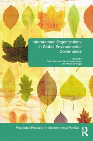 Książka International Organizations in Global Environmental Governance Frank Biermann