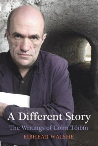 Knjiga Different Story Eibhear Walshe