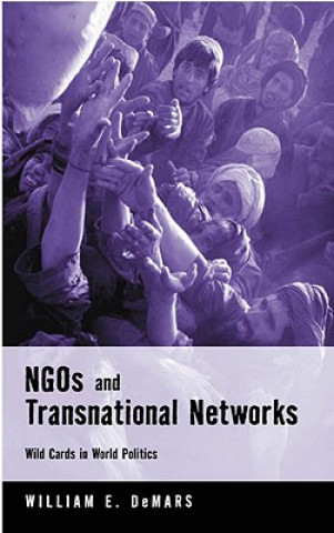 Könyv NGOs and Transnational Networks William E. DeMars