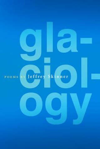 Buch Glaciology Jeffrey Skinner