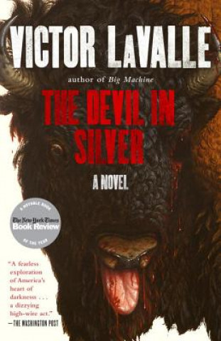 Könyv Devil in Silver Victor Lavalle