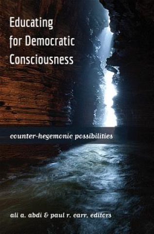 Könyv Educating for Democratic Consciousness Ali A Abdi