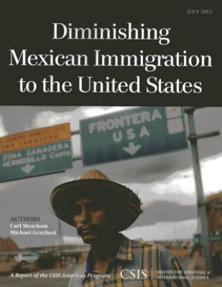 Kniha Diminishing Mexican Immigration to the United States Carl Meachem