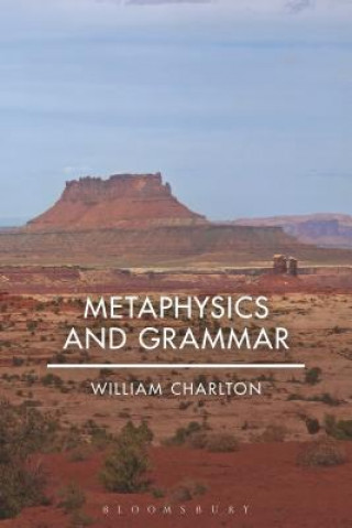 Kniha Metaphysics and Grammar William Charlton