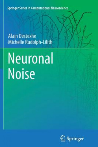 Książka Neuronal Noise Alain Destexhe