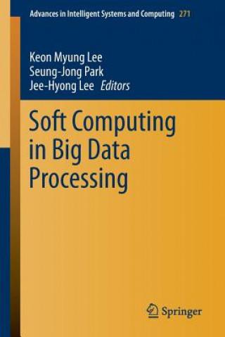 Carte Soft Computing in Big Data Processing Keon Myung Lee