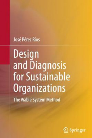 Kniha Design and Diagnosis for Sustainable Organizations José M. Pérez Ríos