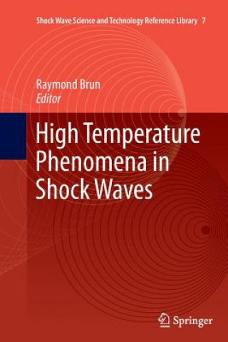 Książka High Temperature Phenomena in Shock Waves Raymond Brun