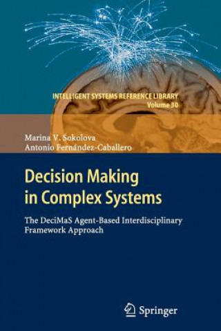 Kniha Decision Making in Complex Systems Marina V. Sokolova