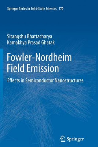 Könyv Fowler-Nordheim Field Emission Sitangshu Bhattacharya