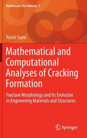 Kniha Mathematical and Computational Analyses of Cracking Formation Yoichi Sumi