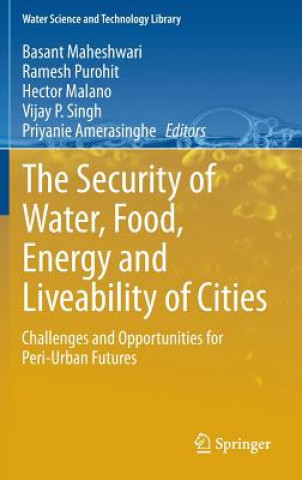 Könyv Security of Water, Food, Energy and Liveability of Cities Basant Maheshwari