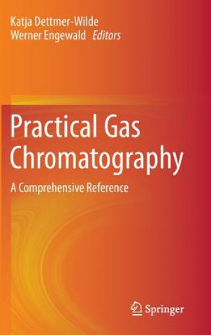 Kniha Practical Gas Chromatography Katja Dettmer