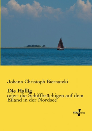 Kniha Hallig Johann Christoph Biernatzki