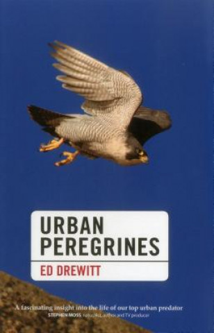 Könyv Urban Peregrines Ed Drewitt