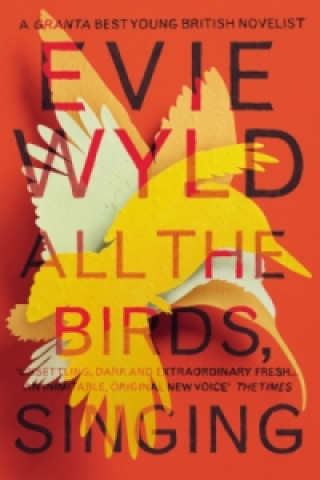 Könyv All the Birds, Singing Evie Wyld