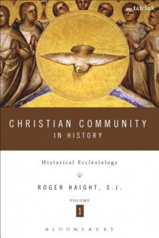 Knjiga Christian Community in History Volume 1 Roger D Haight