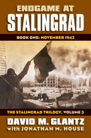 Carte Endgame at Stalingrad: The Stalingrad Trilogy, Volume 3 David M. Glantz