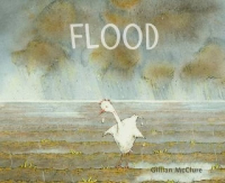 Knjiga Flood Gillian McClure