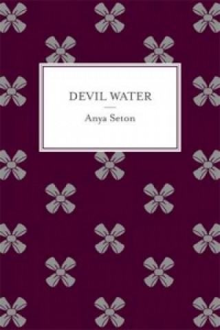 Könyv Devil Water Anya Seton