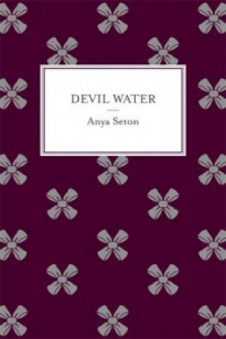 Książka Devil Water Anya Seton