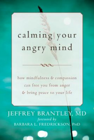 Boek Calming Your Angry Mind Jeffrey Brantley