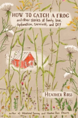 Libro How to Catch a Frog Heather Ross