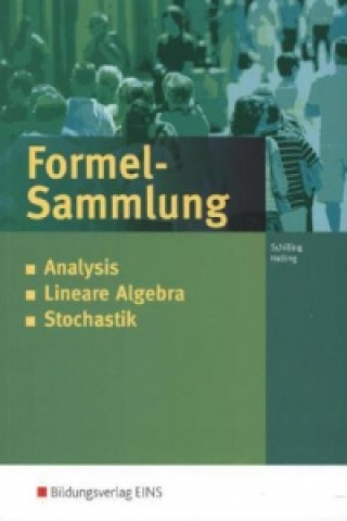 Książka Analysis - Stochastik - Lineare Algebra - Analytische Geometrie Klaus Schilling