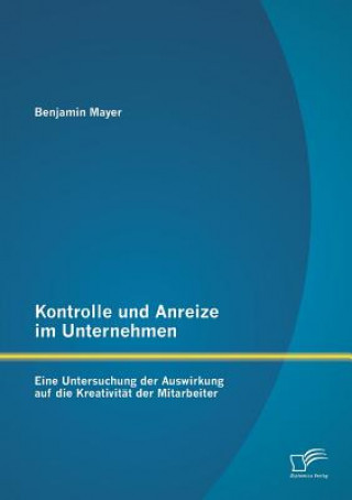 Kniha Kontrolle und Anreize im Unternehmen Benjamin Mayer