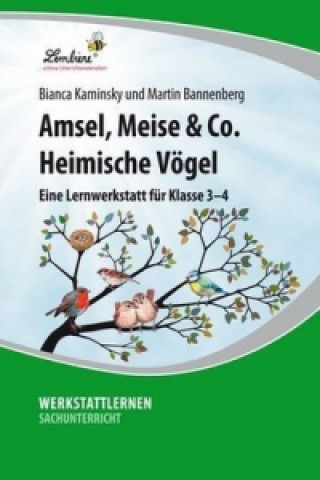 Carte Amsel, Meise & Co: Heimische Vögel Martin Bannenberg