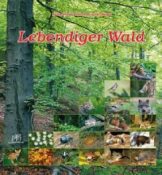 Kniha Lebendiger Wald Heiderose Fischer-Nagel