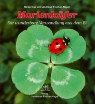 Kniha Marienkäfer Heiderose Fischer-Nagel