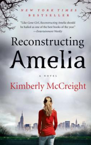 Kniha Reconstructing Amelia Kimberly McCreight
