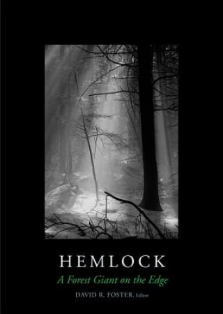 Книга Hemlock David R Foster