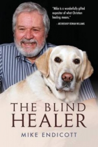 Buch Blind Healer Mike Endicott