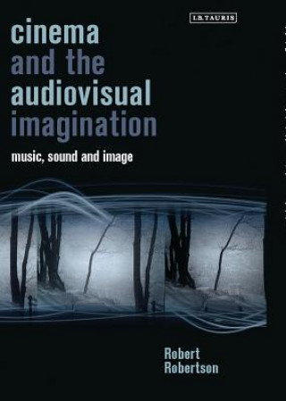 Book Cinema and the Audiovisual Imagination Robert Robertson