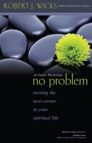 Kniha No Problem Robert J Wicks