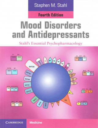 Kniha Mood Disorders and Antidepressants Stephen M. Stahl