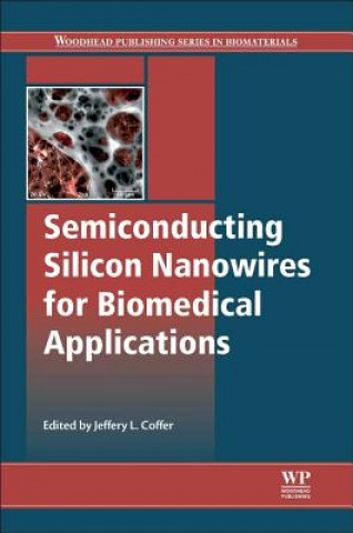 Kniha Semiconducting Silicon Nanowires for Biomedical Applications JL Coffer