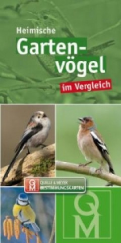 Kniha Garten- und Parkvögel im Vergleich, Bestimmungskarten 
