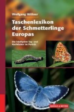 Книга Taschenlexikon der Schmetterlinge Europas Wolfgang Willner