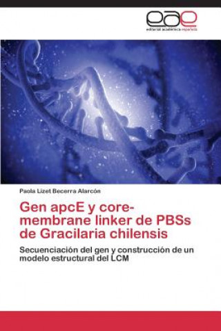 Carte Gen apcE y core-membrane linker de PBSs de Gracilaria chilensis Paola Lizet Becerra Alarcón