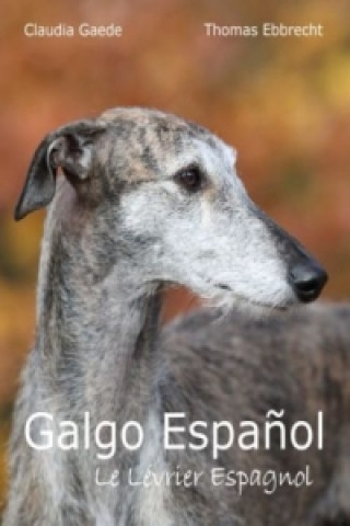 Carte Galgo Espa ol Claudia Gaede